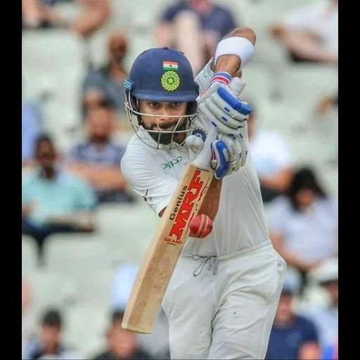 cricket, virat kohli, kohli, cricket cokelat panas, sachin tendulkar rahul dravid sunil gavaskar virender sehwag