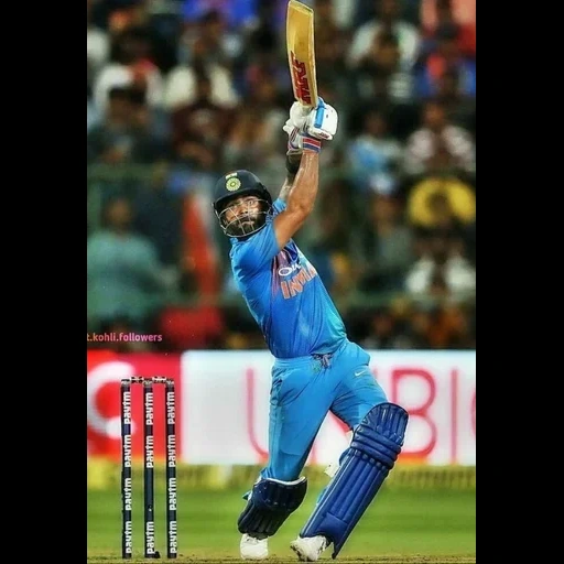 kricket, virat kochli, bestes cricket, indisches cricket, ms dhoni cricketaddictor