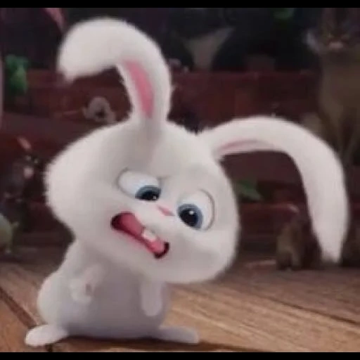 rabbit snowball, the secret life of pet rabbit, the secret life of pet rabbit, the secret life of pet rabbit snowball, the secret life of pet rabbit snowball