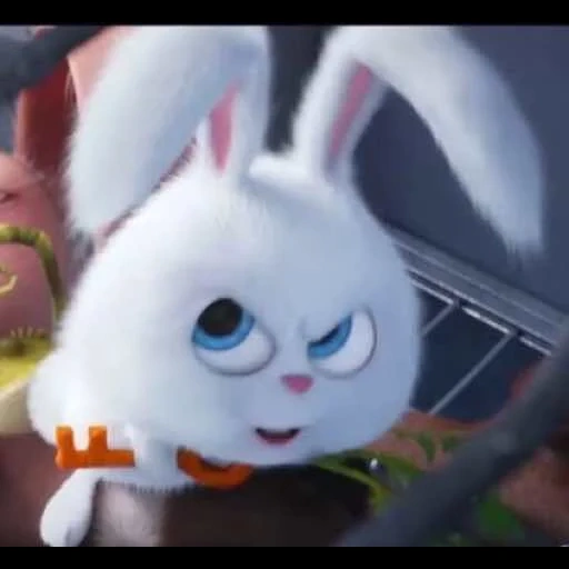 rabbit snowball, hare snowball secret life, the secret life of pet rabbit, the secret life of pet rabbit snowball, rabbit snowball secret life pet 1