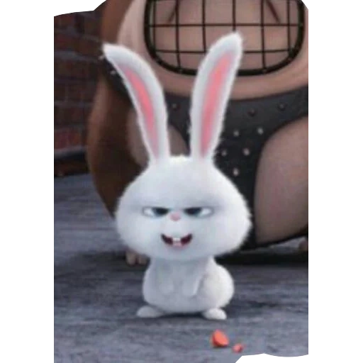 bad rabbit, rabbit snowball, secret life pet rabbit, secret life pet rabbit snowball, the secret life of pet rabbit