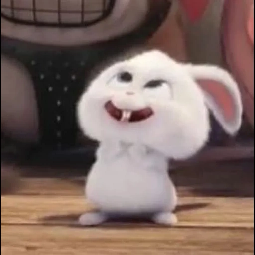 rabbit snowball, rabbit snowball cartoon, the secret life of pets, the secret life of pet rabbit, the secret life of snowball pets