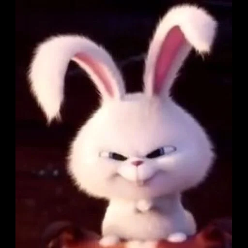 böser hase, bunny ist wütend, wütendes kaninchen, kaninchen schneeball, das geheime leben der haustiere ist ein böser kaninchen