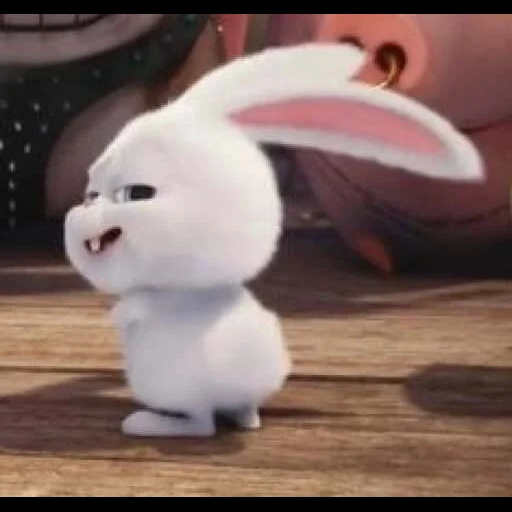 rabbit arrabbiato, hare snowball, snowball di coniglio, little life of pets rabbit, ultima vita di animali domestici snowball
