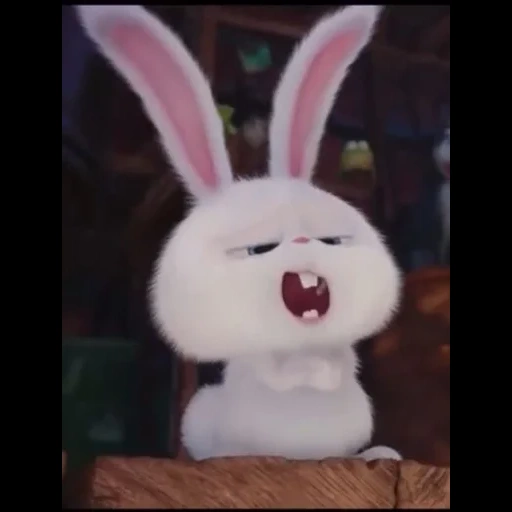 rabbit snowball, secret life pet rabbit, the secret life of pet rabbit, secret life of rabbits and evil pets