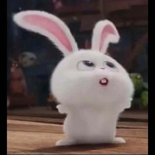 rabbit snowball, secret life of hare, secret life of rabbits, secret life of rabbit cartoon, the secret life of pet rabbit