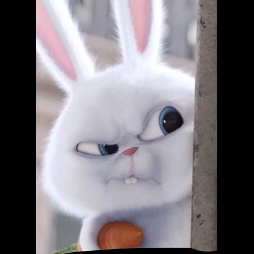 conejo enojado, bola de nieve de conejo, vida secreta del conejo mascota, vida secreta de bola de nieve de conejo mascota, rabbit snow ball secret life pet 1