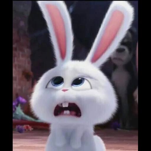 rabbit arrabbiato, snowball di coniglio, lepre della vita segreta dei cartoni animati, vita segreta del coniglio dei cartoni animati, little life of pets rabbit