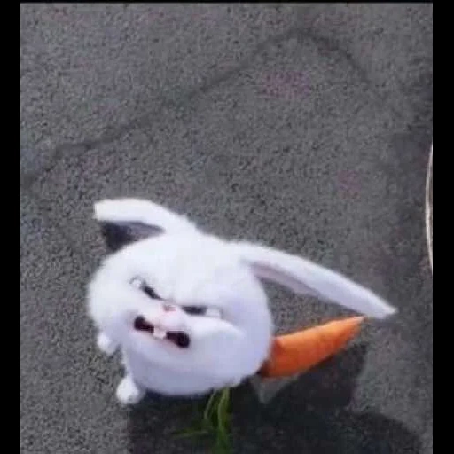 kelinci jahat, kelinci yang marah, kelinci jahat, kelinci jahat, kelinci jahat dengan wortel