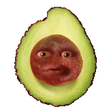 scherzo, umano, avocado, meme di avocado, hass avocado