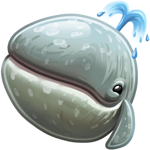 baleine grise, expression de baleine, le visage souriant de la baleine, baleine sans fond