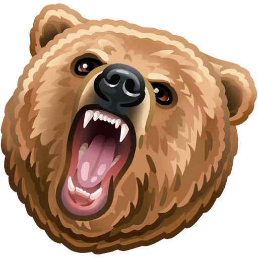 urso, urso sorridente, urso de expressão, urso cinzento, urso de expressão