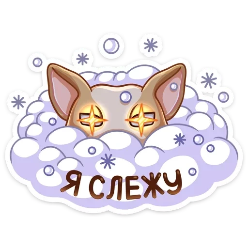 fox, lovely, funny, fox moon, fennec fox