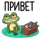 vk_froggy