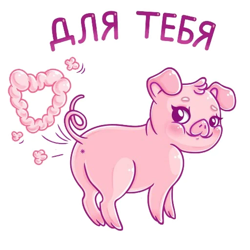 timosha de cerdo, cerdo de akhtung, timosha de cerdo, cerdo de timosha