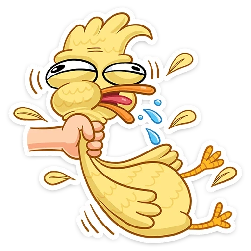 duck, duck zak, the duck is popular, ducks lalofafan