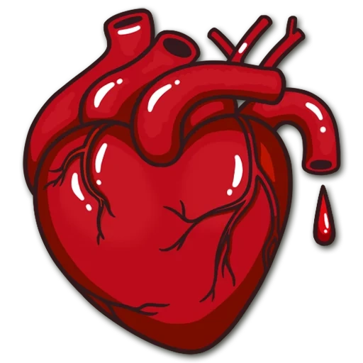 corazón de arte, órganos cardíacos, corazón ensangrentado, corazón humano