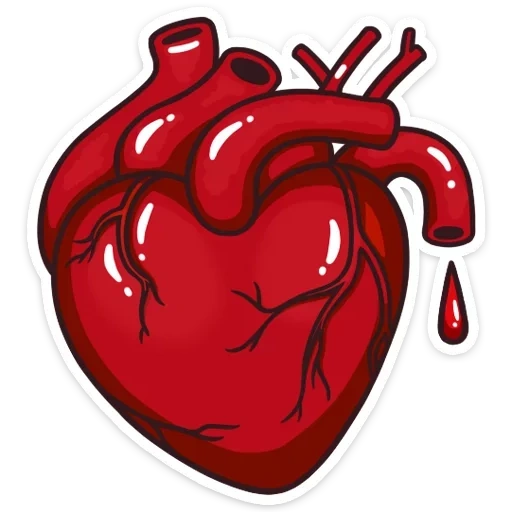 coração de órgão, chupapi munya, coração humano, coração sangrento