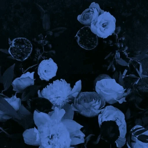 oscuridad, estética floral, estética azul, rosa de arbusto azul, estética de color azul oscuro