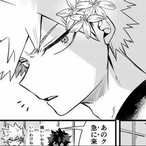 bakugo, bakugou, katsushi shiratani, daozin sipokiribak, manga my hero academy kyri island