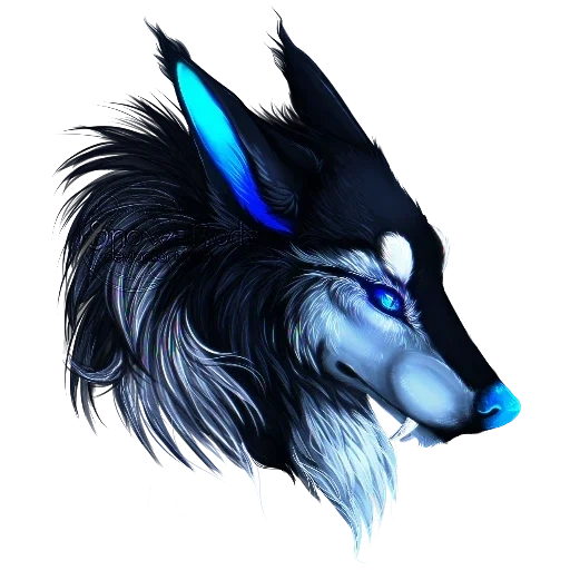 arte do lobo, lobo azul, lobo de anime, desenhos de lobos, chefe de arte do lobo