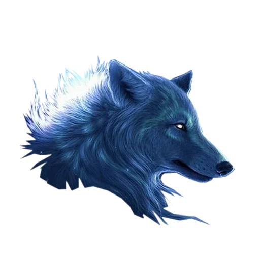 blue wolf, wolf rendering, the call of the ancestral wolf, loup loup ski bowl, blue wolf head