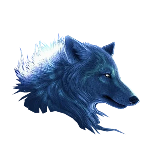 loup bleu, loup, appel des ancêtres loup, bol de ski lup lup, la tête du loup bleu