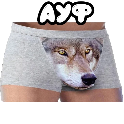 unterhose, höschen wolf, mem der feiglinge wolf, höschen wolf erwartung realität, panties wolf männer erwartung realität realität