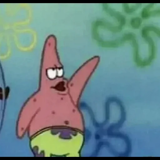 patrick, patrick star, patrick sponge, patrick sponge bob, spongebob schwammkopf