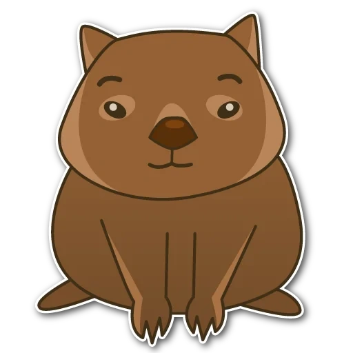 wombat, collection of s