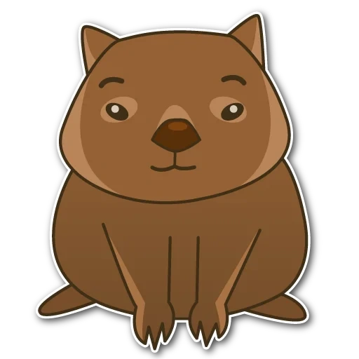 wombat, coleção