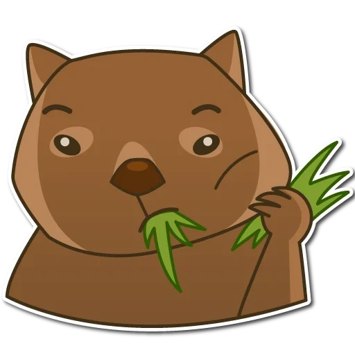 hermoso, wombat, caracteres