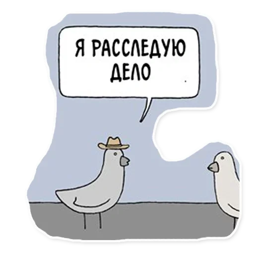 humor, funny, detective pigeon