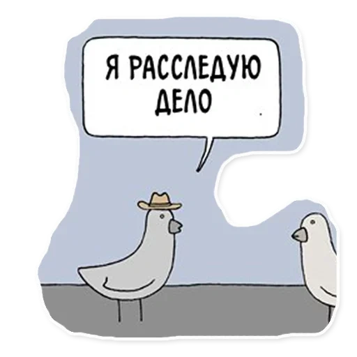 humor, gracioso, detective de palomas