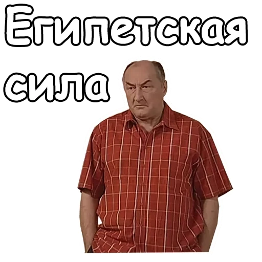 воронины, мемы ватсапа приколы, николай петрович воронин, николай петрович воронины