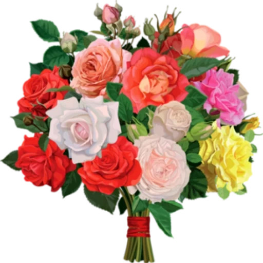 bouquet de fleurs, bouquet sans fond, un bouquet de roses variées, un bouquet de pinces à fleurs, un bouquet de roses multicolores
