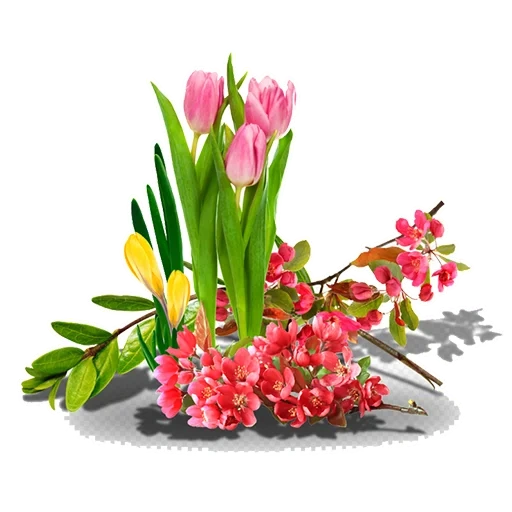 buquê de primavera, flores de primavera, flores de fundo transparente, flores de primavera abertas e transparentes, cor de fundo transparente de flor de primavera