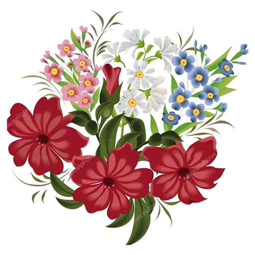 fleurs, type de fleur, fleurs vectorielles, fleurs de marguerites, illustrations de fleurs