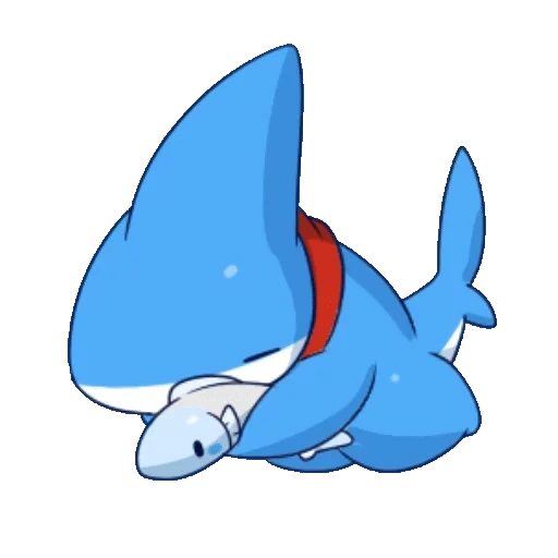 hiu, hiu yang lucu, hewan lucu, vress shark puppy