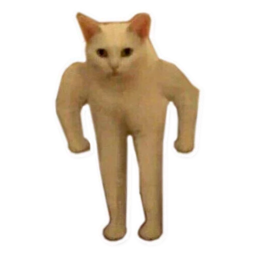 buff cat, has terminado, gato memético, gato germinado, molde gato balanceándose