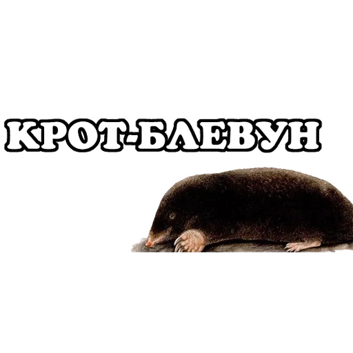 крот, сибирский крот, крот маленький, крот белом фоне, крот европейский