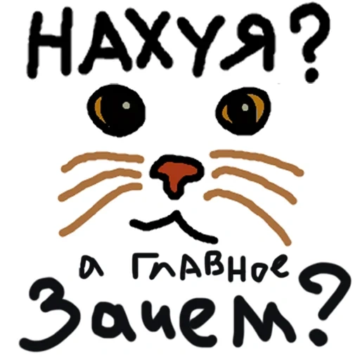 кот, котэ, коты, кот халява, кот да ну нафиг