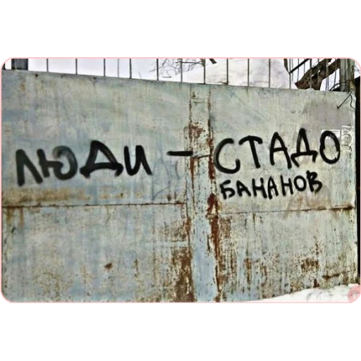 надпись заборе, надписи стенах, надписи граффити, стена дело говорит, турецкие надписи стенах