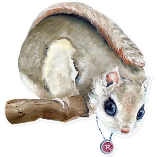 rato voador, esquilo branco, esquilo japonês, esquilo siberiano, rato japonês