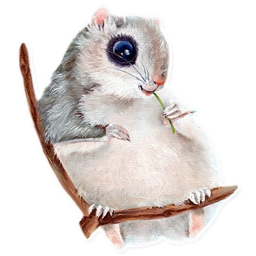 flying, flying squirrel, white protein flying, japanese protein flying, siberian squirrel letyaga