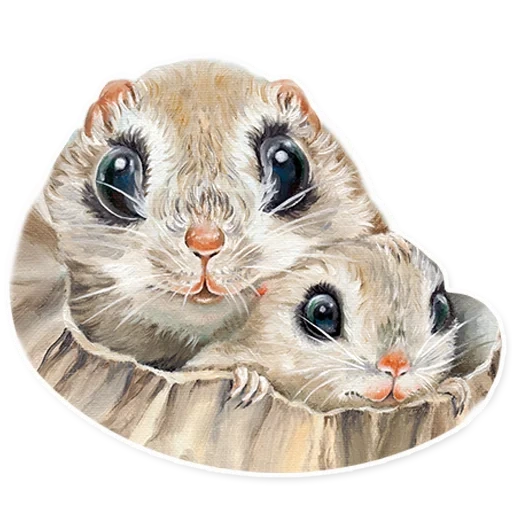 flying, flying squirrel, japanese protein flying, chinese protein flying, siberian squirrel letyaga