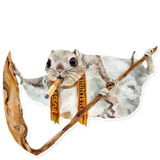 flying, flying squirrel, squirrel flying is homemade, japanese protein flying, siberian squirrel letyaga