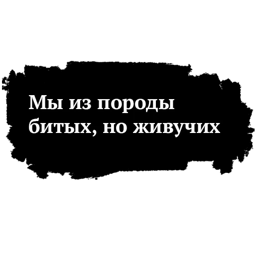 frasi, vysotsky