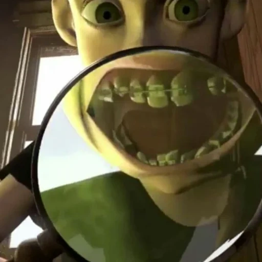 shrek, ragazzo