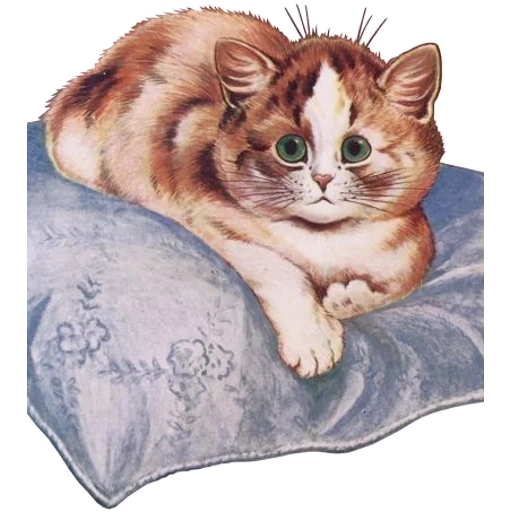 cat, a cat, a motley cat, cat picture, kitten illustration